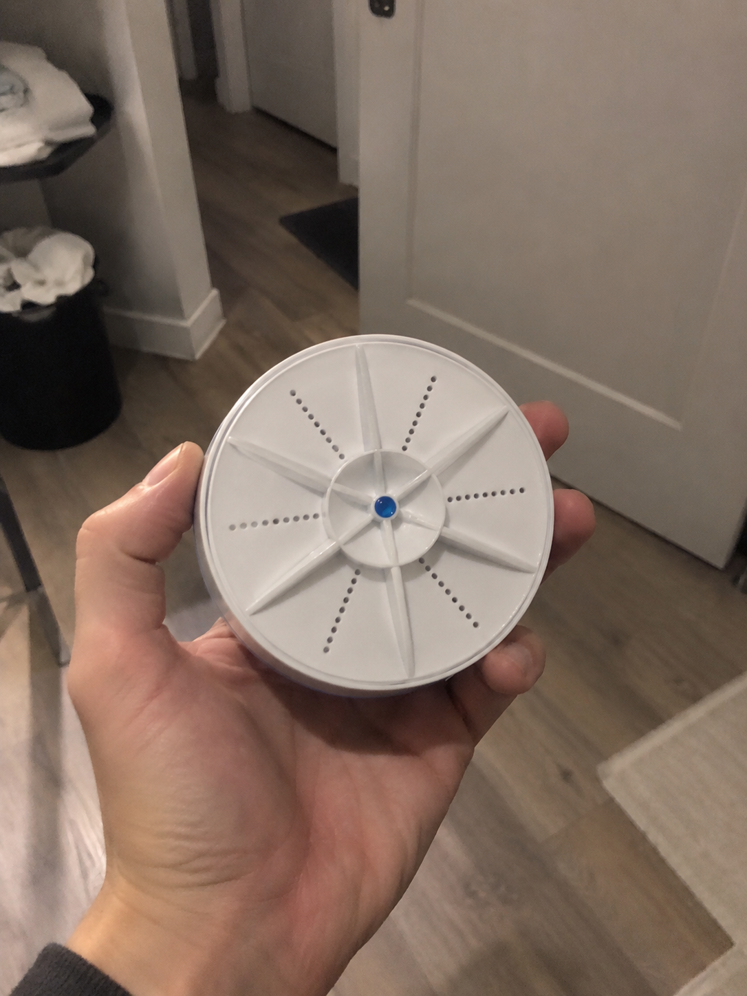 WashBuddy product image